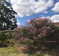 Cockburn Retreat Home  - Hotels Melbourne