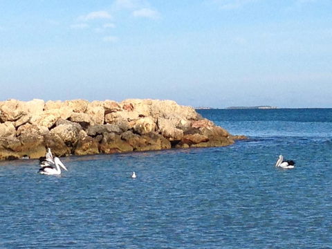 Gypsy Cottage - Hotels Melbourne 13