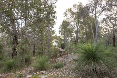 A Hidden Bush Delight - Hotels Melbourne 23