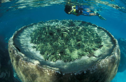 Sal Salis Ningaloo Reef - Hotels Melbourne 8