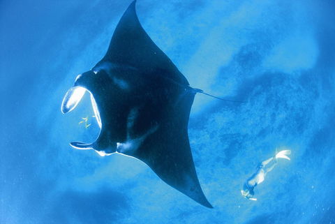 Sal Salis Ningaloo Reef - Hotels Melbourne 28