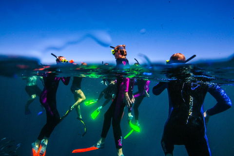 Sal Salis Ningaloo Reef - Hotels Melbourne 26