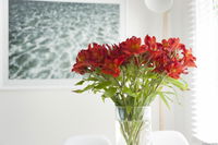 Book Kingston Beach Accommodation Vacations Hotels Melbourne Hotels Melbourne