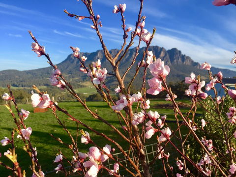 Manna Hill Farm - Hotels Melbourne 3