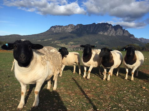 Manna Hill Farm - Hotels Melbourne 28