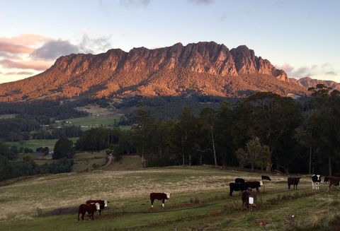 Manna Hill Farm - Hotels Melbourne 10