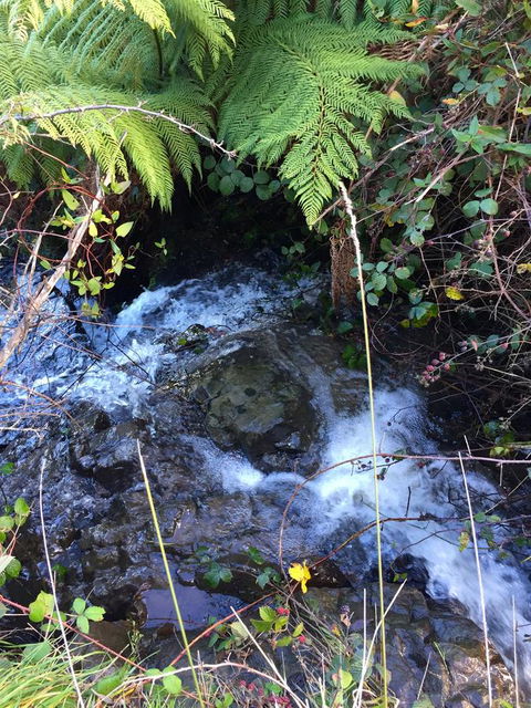 Manna Hill Farm - Hotels Melbourne 26