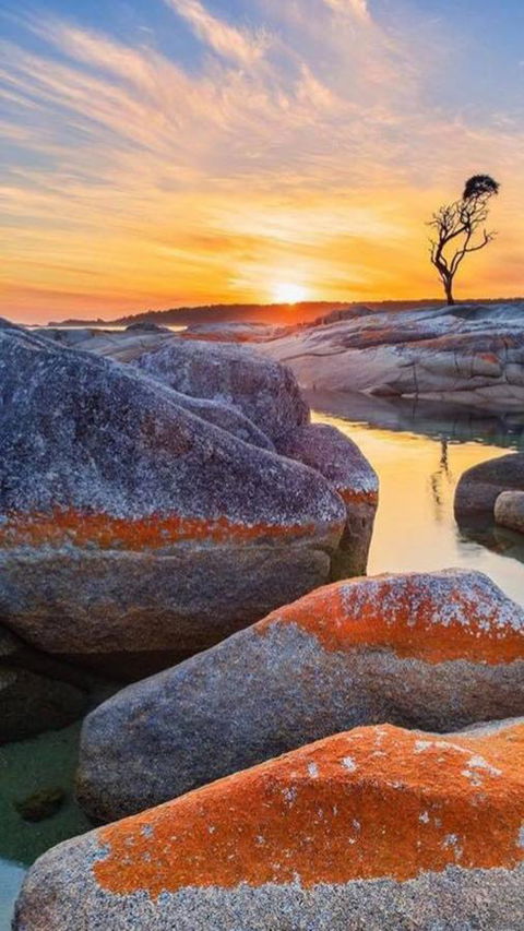 Georges Bay Apartments - Hotels Melbourne 3