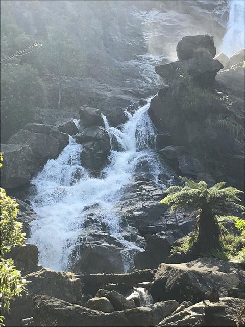 Georges Bay Apartments - Hotels Melbourne 2