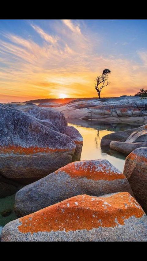 Georges Bay Apartments - Hotels Melbourne 4