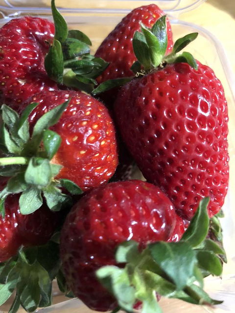 Richmond Bridge Accommodation â€œTwo The Bridgeâ€ - Hotels Melbourne 17