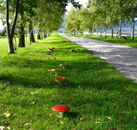 Plovers Ridge Country Retreat - Hotels Melbourne