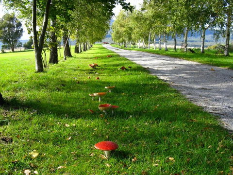 Plovers Ridge Country Retreat - Hotels Melbourne 0