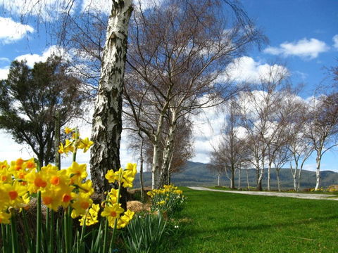 Plovers Ridge Country Retreat - Hotels Melbourne 4