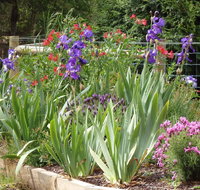 Karoola Cottage Self Contained - Hotels Melbourne