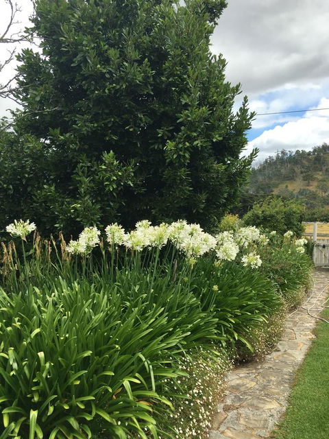 Walnut Cottage - Hotels Melbourne 9