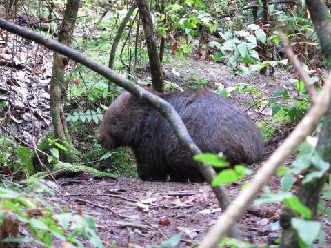 Paradiso Kinglake - Hotels Melbourne 2