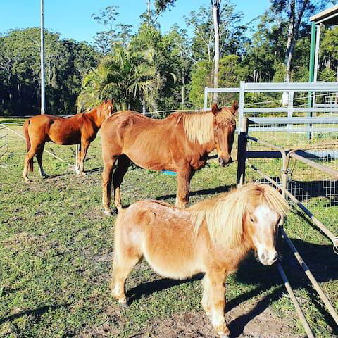 Paskins Farm - Hotels Melbourne 0