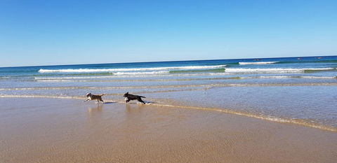 Red Door Beach House - Marcoola Beach - PET FRIENDLY, FOXTEL, WIFI, 500 BOND, Linen Supplied - Hotels Melbourne 1