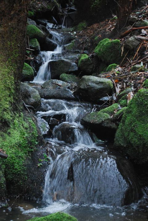 Rocky Creek Art Garden B&B - Hotels Melbourne 3