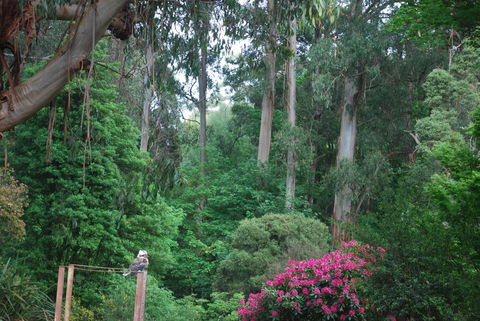 Rocky Creek Art Garden B&B - Hotels Melbourne 2