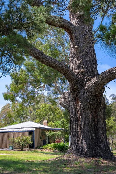 Rose Cottage - Hotels Melbourne 3