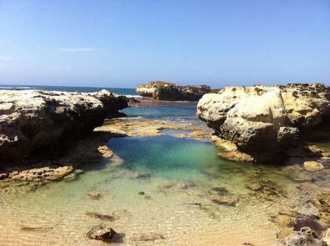 Seahorse Coastal Villas - Hotels Melbourne 2