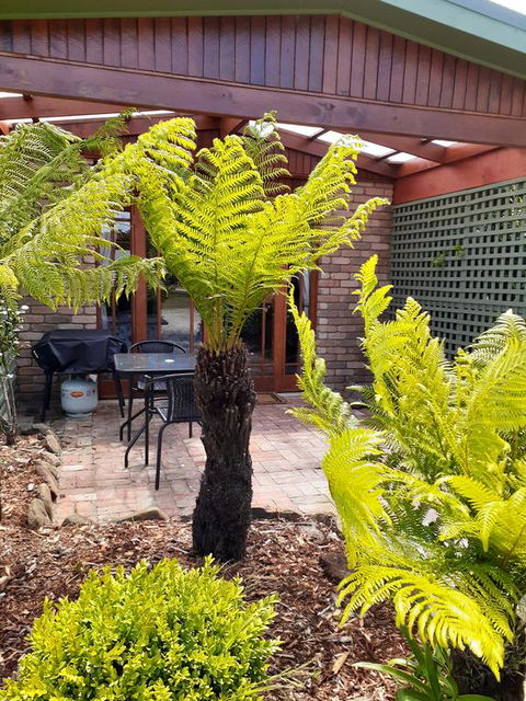 Sleepy Hollow Hideout (Hidout 2) - Hotels Melbourne 1