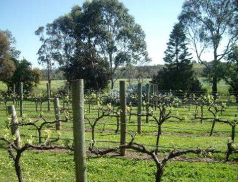 Southern Vales Bed & Breakfast - Hotels Melbourne 1