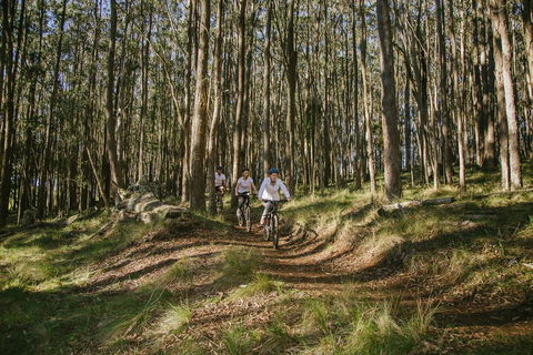 Spicers Peak Lodge - Hotels Melbourne 3