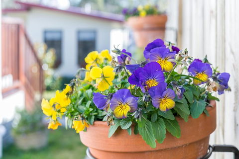 Sunnyside - Hotels Melbourne 1