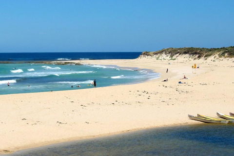 Tea Tree - Hotels Melbourne 2