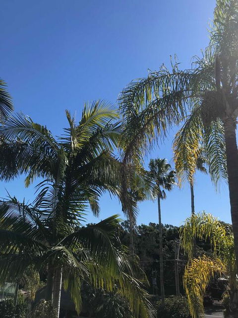 Terrigal Pacific Coastal Retreat - Hotels Melbourne 3