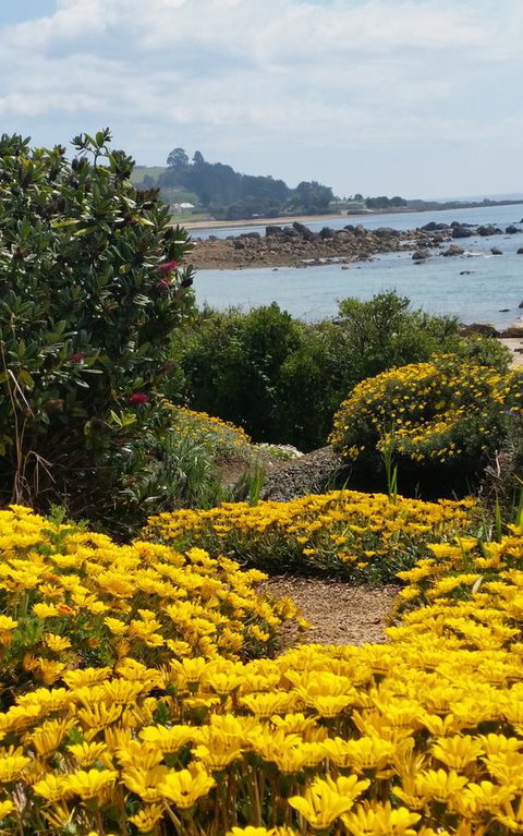 Penguin Beach House - Hotels Melbourne 18