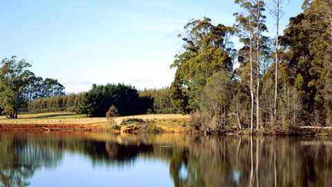 Buttons Cottage For Canyon & Rain Forest Walks With In House Dining - Hotels Melbourne 29