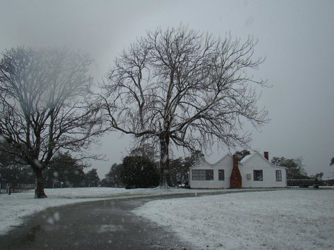 Buttons Cottage For Canyon & Rain Forest Walks With In House Dining - Hotels Melbourne 11