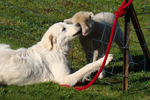 Buttons Cottage For Canyon & Rain Forest Walks With In House Dining - Hotels Melbourne 32
