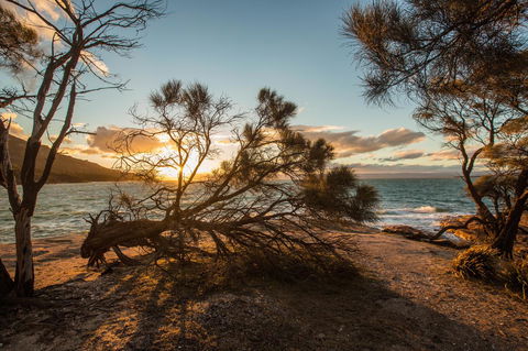 Freycinet Lodge - Hotels Melbourne 44