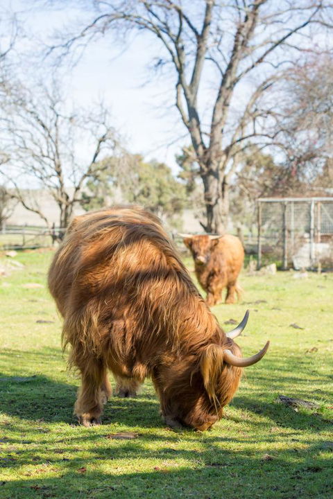 Ratho Farm - Hotels Melbourne 4