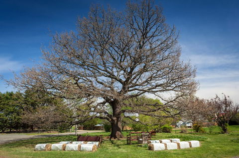 Ratho Farm - Hotels Melbourne 8