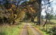 Drumreagh Cabins - thumb 6