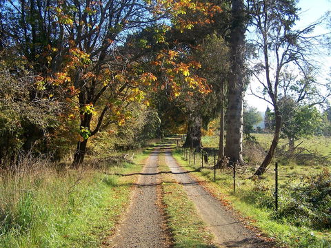 Drumreagh Cabins - Hotels Melbourne 6