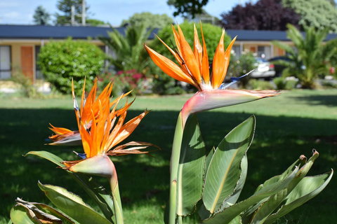 Beachway Motel - Hotels Melbourne 21