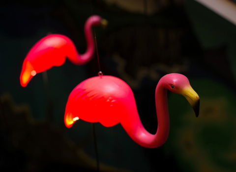 Alabama Hotel Hobart - Hotels Melbourne 42