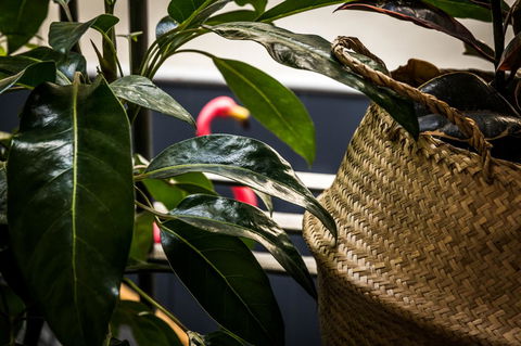 Alabama Hotel Hobart - Hotels Melbourne 25