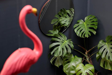 Alabama Hotel Hobart - Hotels Melbourne 15