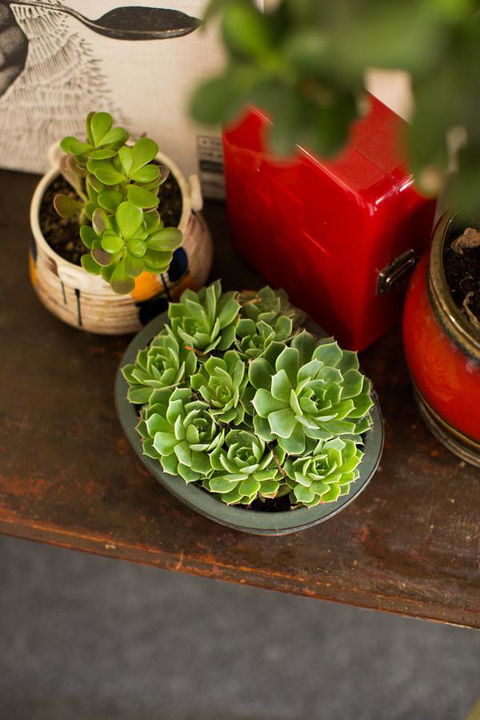 Alabama Hotel Hobart - Hotels Melbourne 39