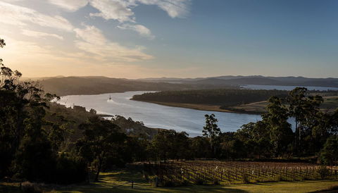 Domescapes In The Vines - Hotels Melbourne 10