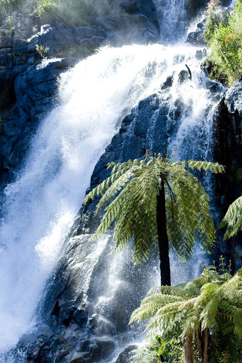 Tower Motel Marysville - Hotels Melbourne 23