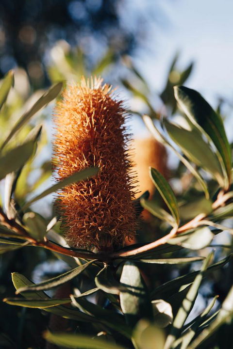 Dunkeld Studio Accommodation - Hotels Melbourne 19